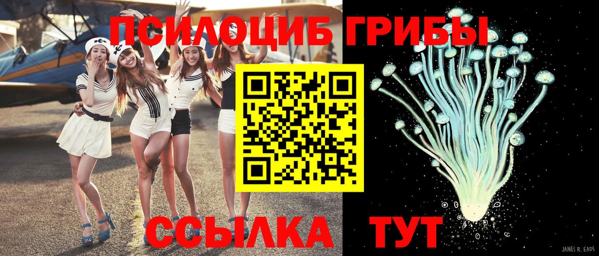 Псилоцибиновые грибы мицелий  Псилоцибиновые грибы ЛСД  Вход с VPN  где купить наркоту  Ишим 