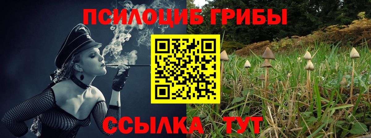 Псилоцибиновые грибы ЛСД Ишим